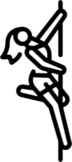 Icon representing a pole dance studio